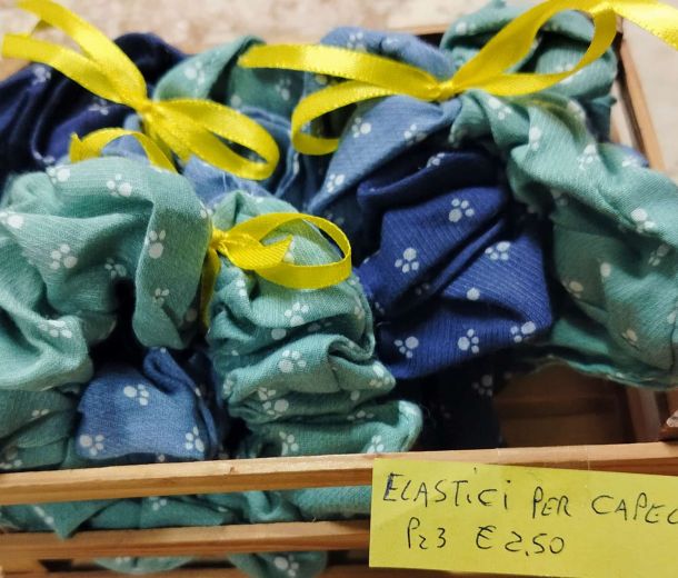 Esempio dalla galleria fotografica di SCUBY-DU